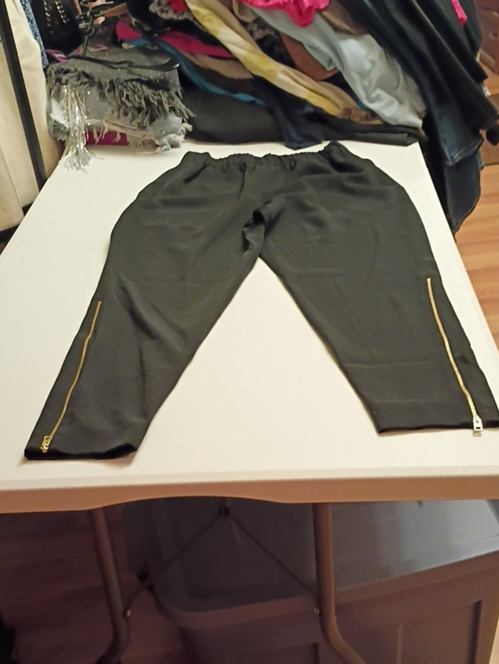 Everlane Black Cropped Ankle Pants with Gold Zippers